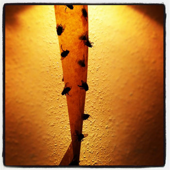 C ep cover art