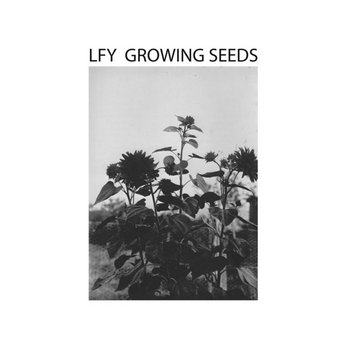 LUST FOR YOUTH - Growing Seeds LP cover art