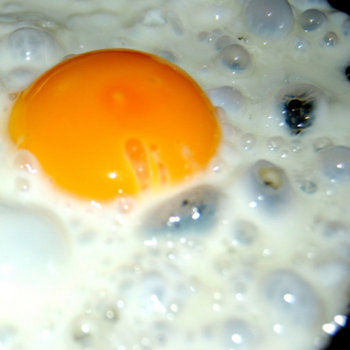 Egg Fry #2 cover art