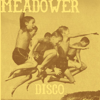 Meadower/Cartography 7" Split cover art
