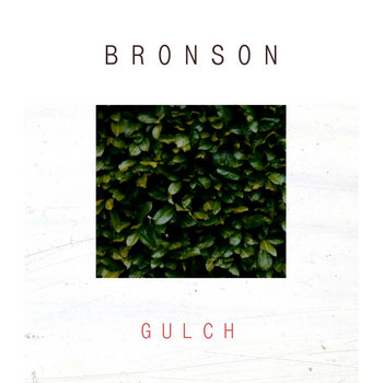Gulch cover art