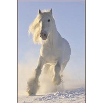 whiter than snow (remember love is sweeter than wine) cover art