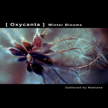 [ Oxycanta ] - Winter Blooms cover art