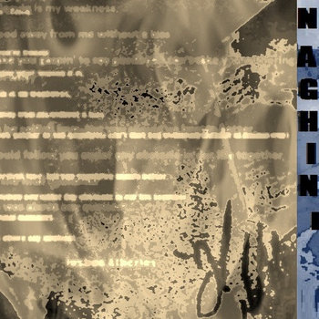 The Naghini Project cover art