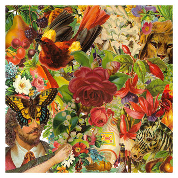 US YOU ALL WE cover art