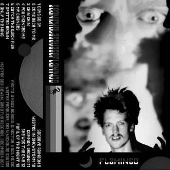 Flamingo cover art