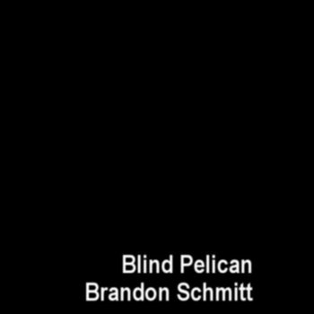 Blind Pelican/Brandon Schmitt Split  Cassette cover art