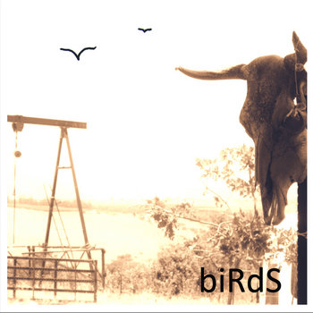 biRdS cover art