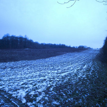 Subconscious Snow Fields cover art