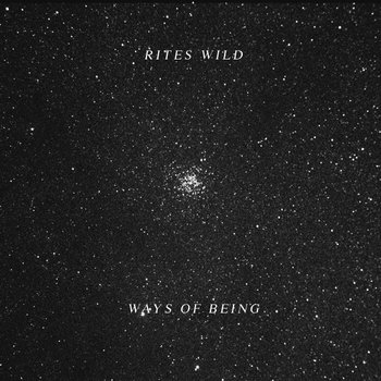 Ways of Being LP (2012, Not Not Fun Records) cover art