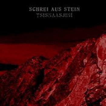 Tsisnaasjini cover art