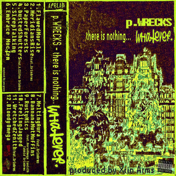 There is Nothing... whatever cover art