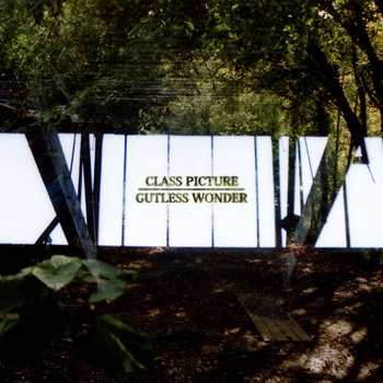 Class Picture / Gutless Wonder Split cover art
