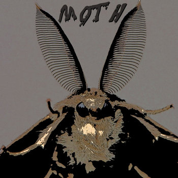 Moth cover art