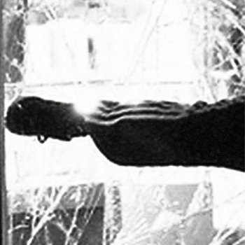 Skirt - Tumulto. SEMANTICA27 cover art