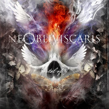 And Plague Flowers The Kaleidoscope cover art