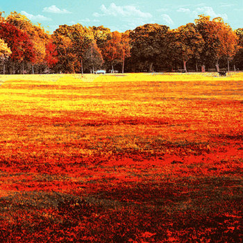 Bright-Coves cover art