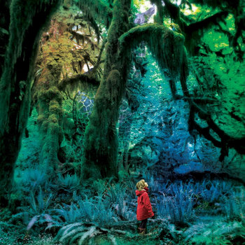 Cabinet of Curiosities cover art
