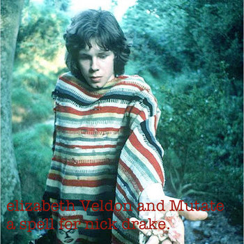 a spell for nick drake cover art