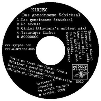 Das gemeinsame Schicksal cover art