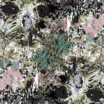 Blackbird cover art