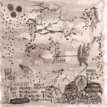 One Thousand Birth Felt cover art