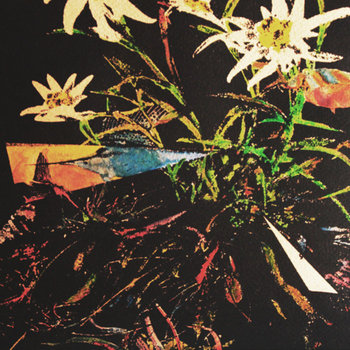 Ivory And/Geraniums On A Spit 7" cover art