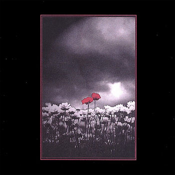 Pseudobiography cover art