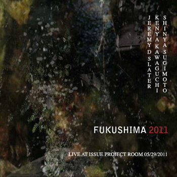 Fukushima 2011 cover art