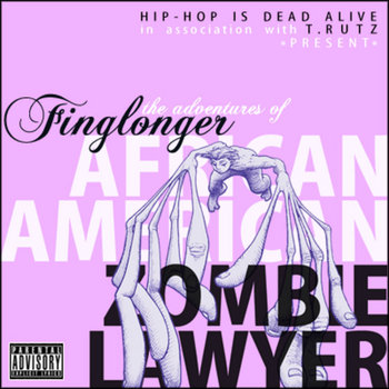The Adventures Of Finglonger cover art