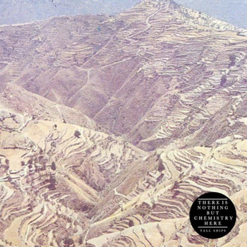 There Is Nothing But Chemistry Here cover art