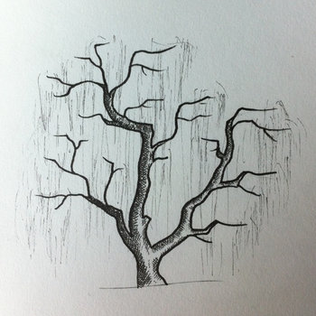 Willow cover art