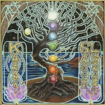 Syntropic Luminosity cover art