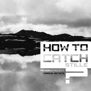 How to catch STILLE? cover art