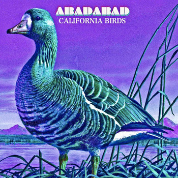 California Birds cover art
