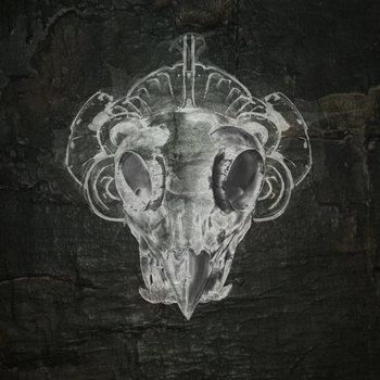 Rainmaker cover art