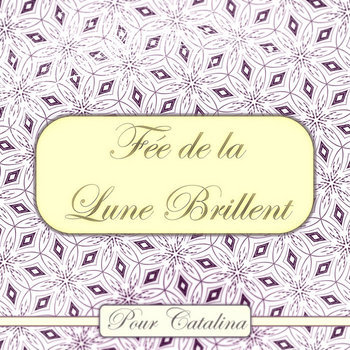 Fée de la Lune Brillent cover art