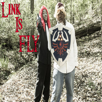 Link is Fly feat. INDO Washington cover art