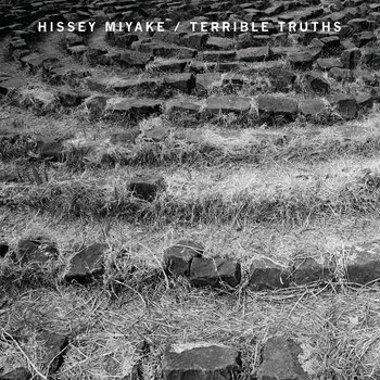 Hissey Miyake / Terrible Truths cover art