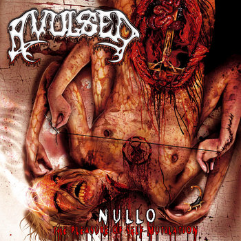 Nullo (The Pleasure of Self-mutilation) cover art
