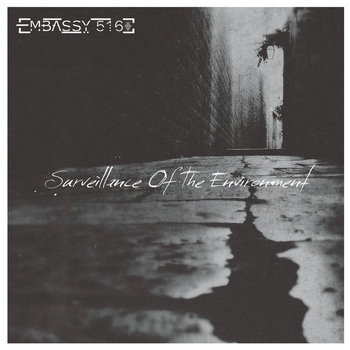 Surveillance Of The Environment cover art