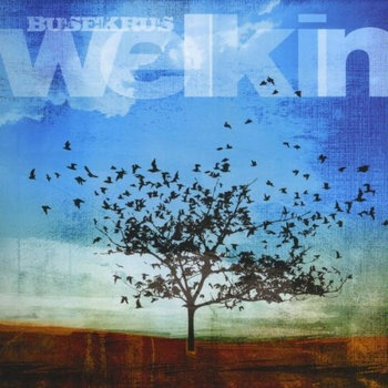 Welkin cover art