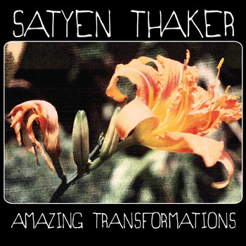 Amazing Transformations cover art