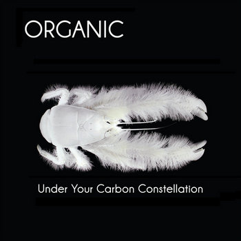 Under Your Carbon Constellation cover art