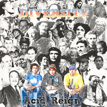 Diversity cover art