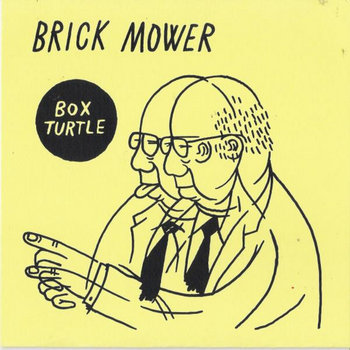Box Turtle flexi 7'' (free download) cover art