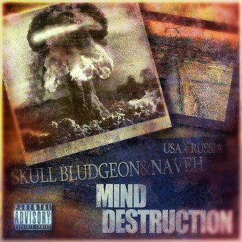 Mind Destruction (2011) cover art