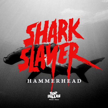 Hammerhead cover art