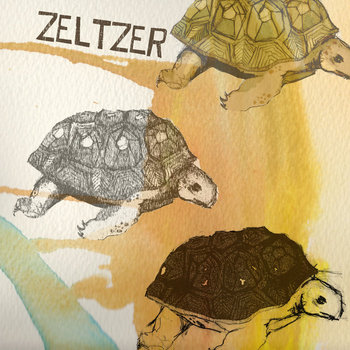 Desert Tortoise cover art