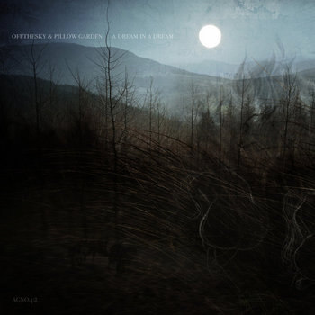 A Dream In A Dream cover art